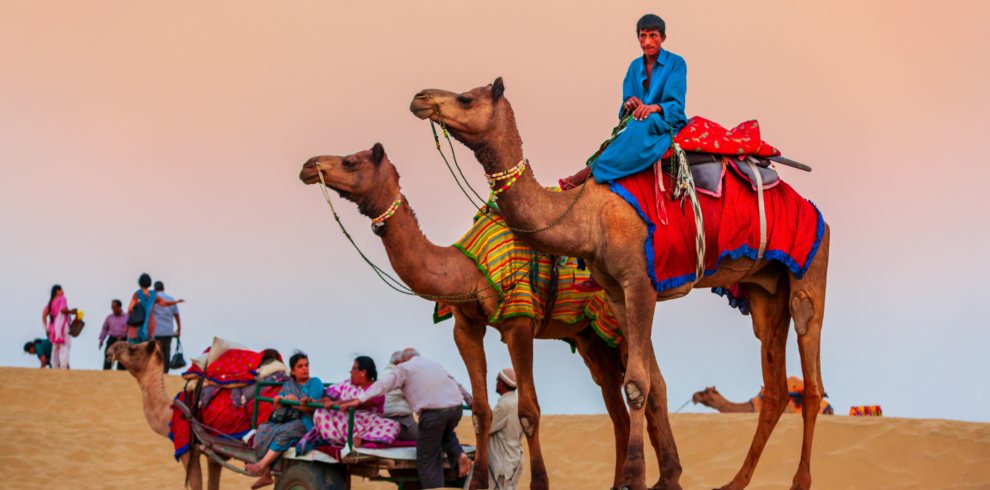 Half-day Desert Safari in Dubai