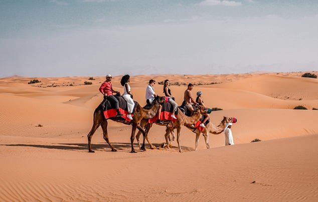 Night Desert Safari