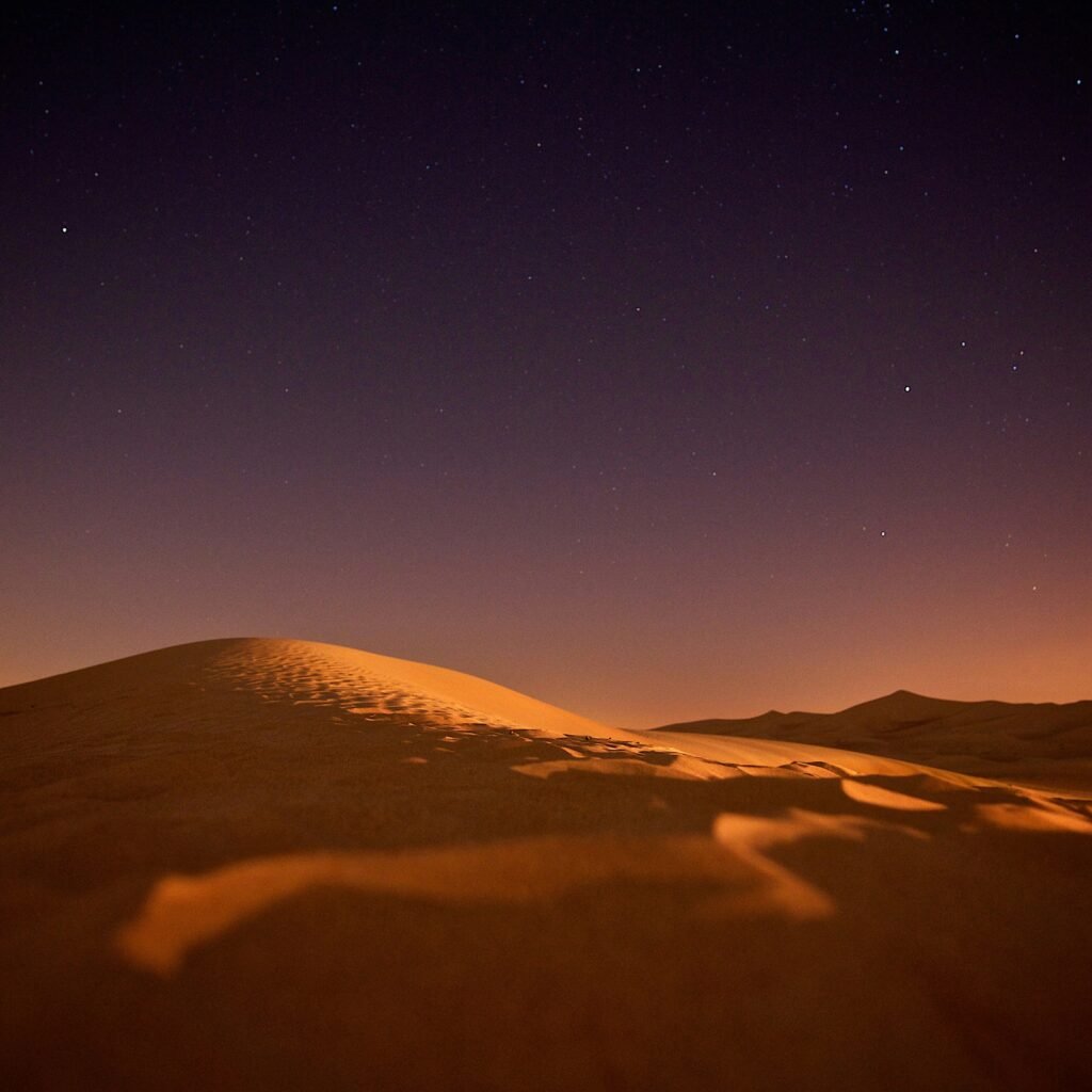 night desert safari